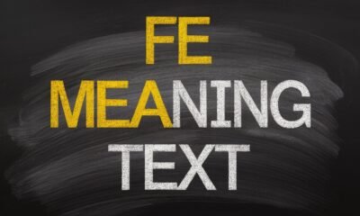 FE meaning text