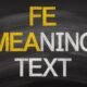 FE meaning text